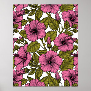 Rosa hibiscus-blommor poster