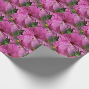 Rosa Hibiscus Blomnatur Presentpapper