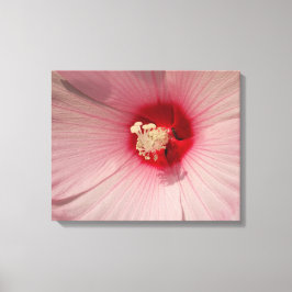 Rosa Hibiscus Flower Close Up Photo Single Print Canvastryck