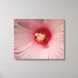 Rosa Hibiscus Flower Close Up Photo Single Print Canvastryck