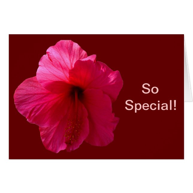 Rosa Hibiscus Flower Hälsningskort (Framsidan Horizontal)