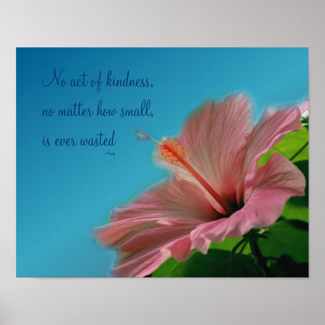 Rosa Hibiscus Flower Kindness Quote Inspirational Poster (Framsidan)