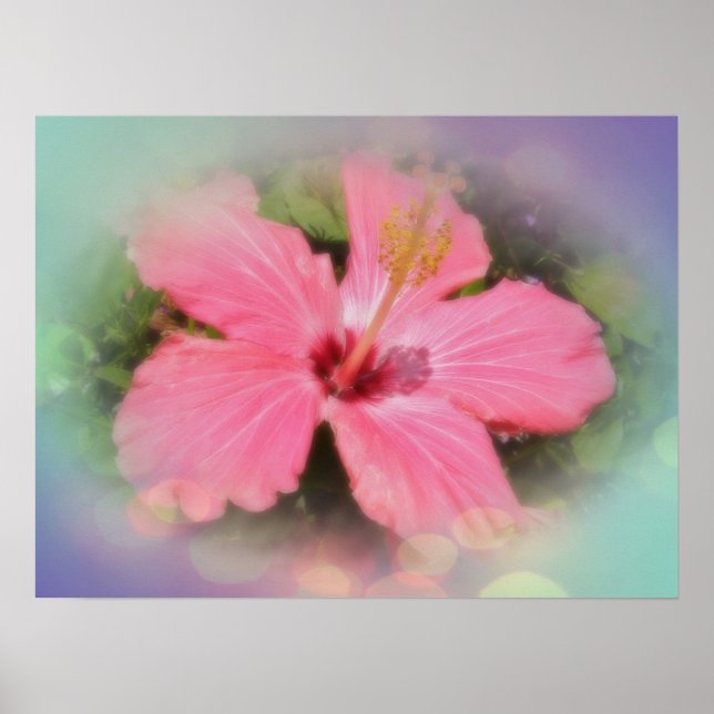 Rosa Hibiscus Flower Poster (Framsidan)