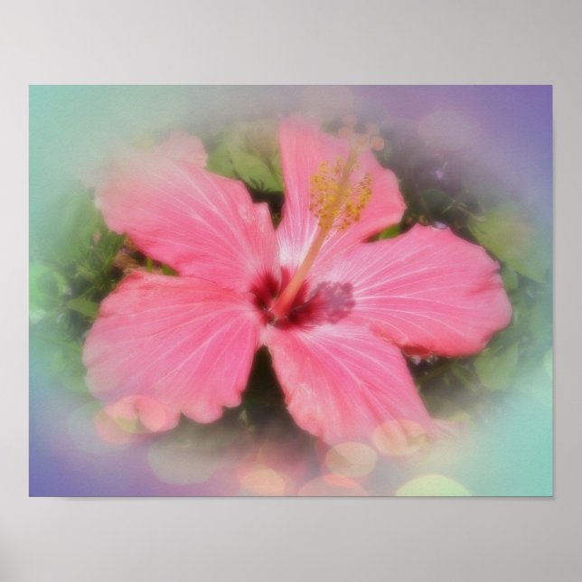 Rosa Hibiscus Flower Poster (Framsidan)