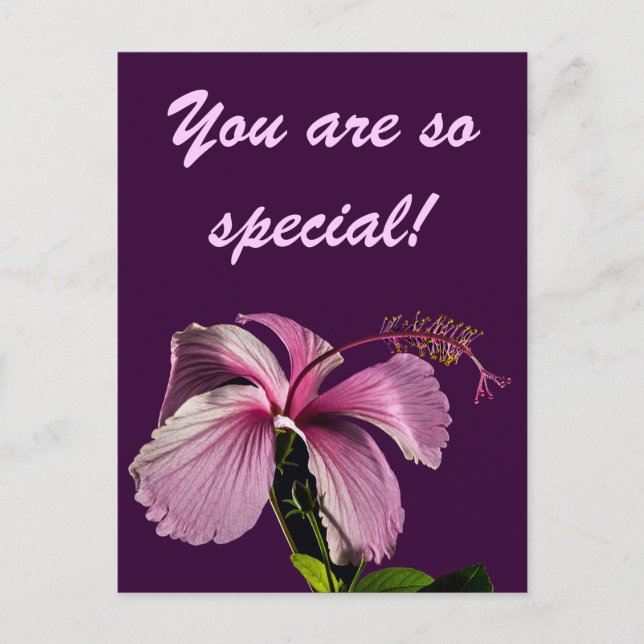 Rosa Hibiscus Flower Side View Vykort (Framsida)