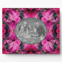 Rosa Hibiscus Flower Skapar ditt eget foto