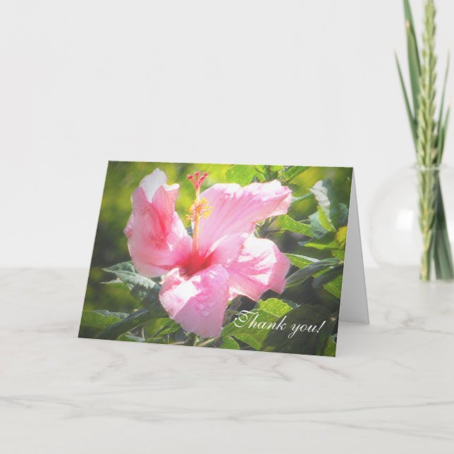 Rosa Hibiscus Flower Tack Kort (Framsida)