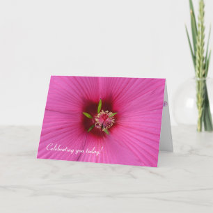 Rosa Hibiscus Macro Kort