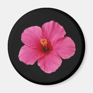 Rosa Hibiscus Magnet