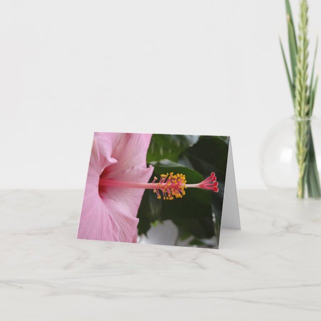 Rosa Hibiscus Notecard Kort (Framsida)
