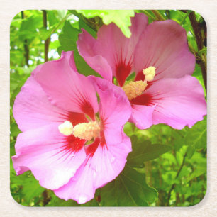 Rosa Hibiscus Papper Underlägg Kvadrat