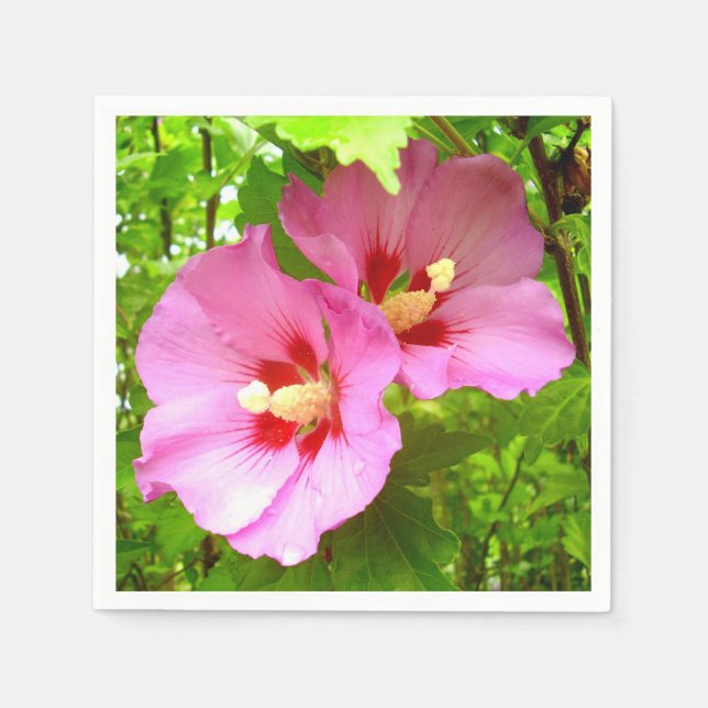 Rosa Hibiscus Pappra blöjor Pappersservett (Framsidan)