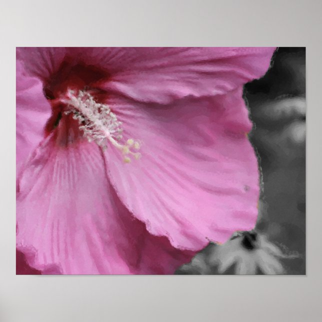 Rosa Hibiscus Photo Painting Art Poster (Framsidan)