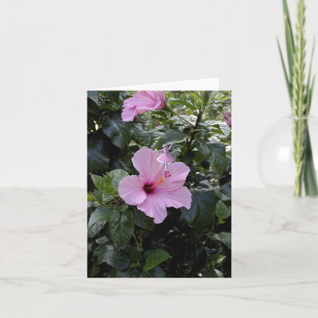 Rosa Hibiscus Shadow Fairy Helgkort (Framsida)