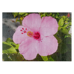 Rosa Hibiscus Tropiska blomman