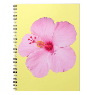 Rosa Hibiscus Tropiska blomman Anteckningsbok Med Spiral
