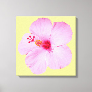 Rosa Hibiscus Tropiska blomman Canvastryck