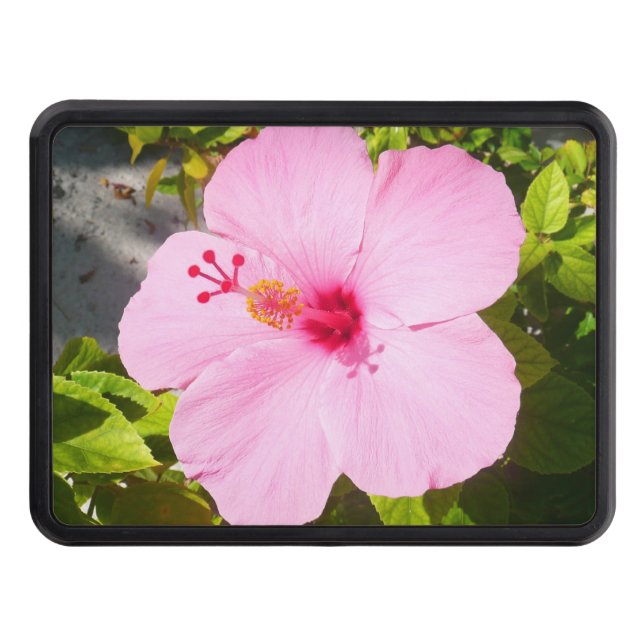 Rosa Hibiscus Tropiska blomman Dragkroksskydd (Framsidan)