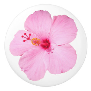 Rosa Hibiscus Tropiska blomman Knopp