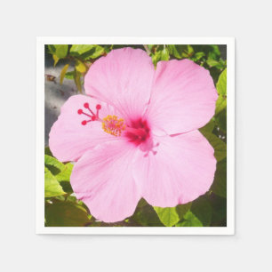 Rosa Hibiscus Tropiska blomman Pappersservett