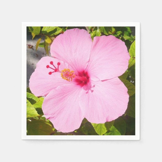 Rosa Hibiscus Tropiska blomman Pappersservett (Framsidan)