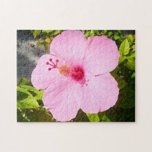 Rosa Hibiscus Tropiska blomman Pussel
