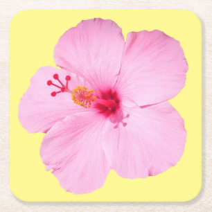 Rosa Hibiscus Tropiska blomman Underlägg Papper Kvadrat