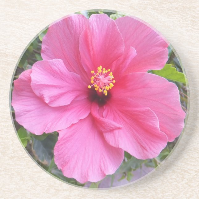 Rosa Hibiscus underlägg (Framsidan)
