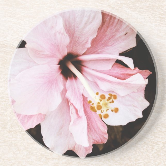 Rosa Hibiscus Underlägg Sandsten (Framsidan)