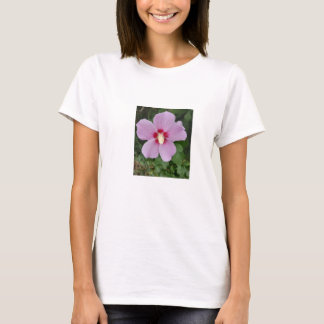 Rosa Hibiscus Womans T-Shirt
