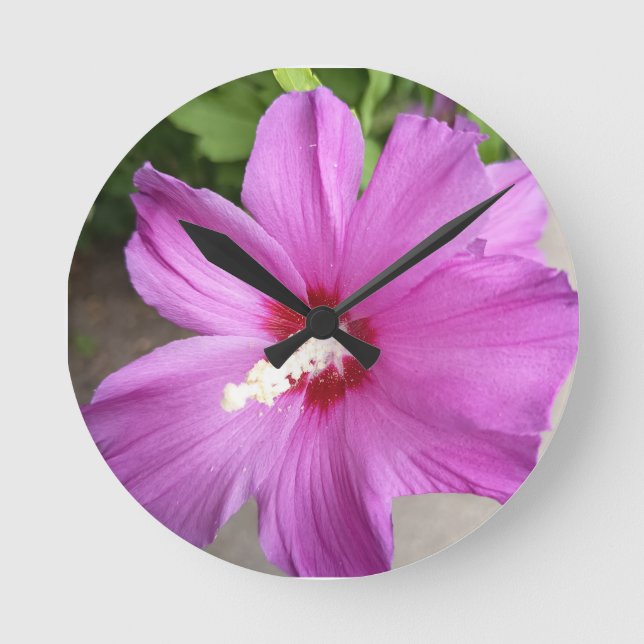 Rosa Hibiskus Blomma Blommig Rund Väggklocka (Framsida)