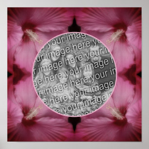 Rosa Hibiskus Blomma Ram Skapa Ditt Eget Foto Poster