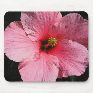Rosa hibiskus Mousepad Musmatta
