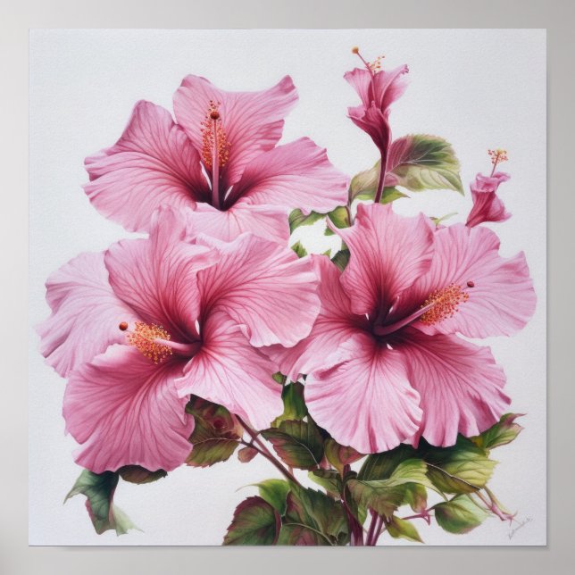 Rosa hibiskusblomma konsttryck poster (Framsidan)