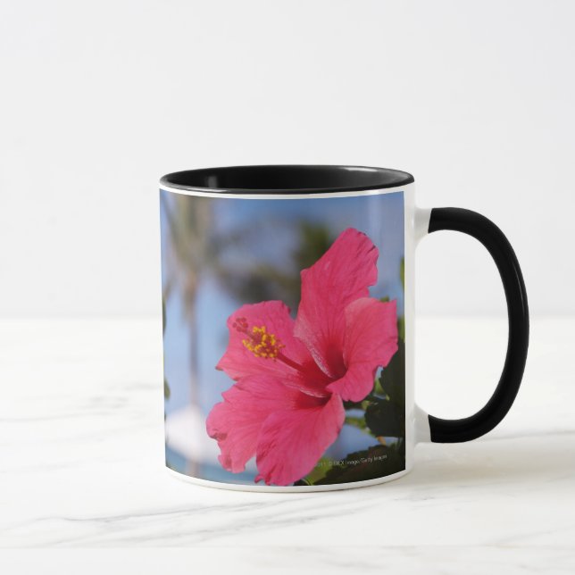Rosa hibiskusblomma mugg (Höger)