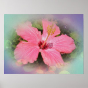 Rosa hibiskusblomma poster