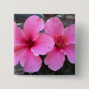 Rosa hibiskusblommor knapp