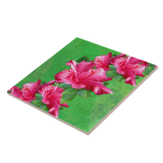 Rosa hibiskusLei belägger med tegel Kakelplatta (Sidan)