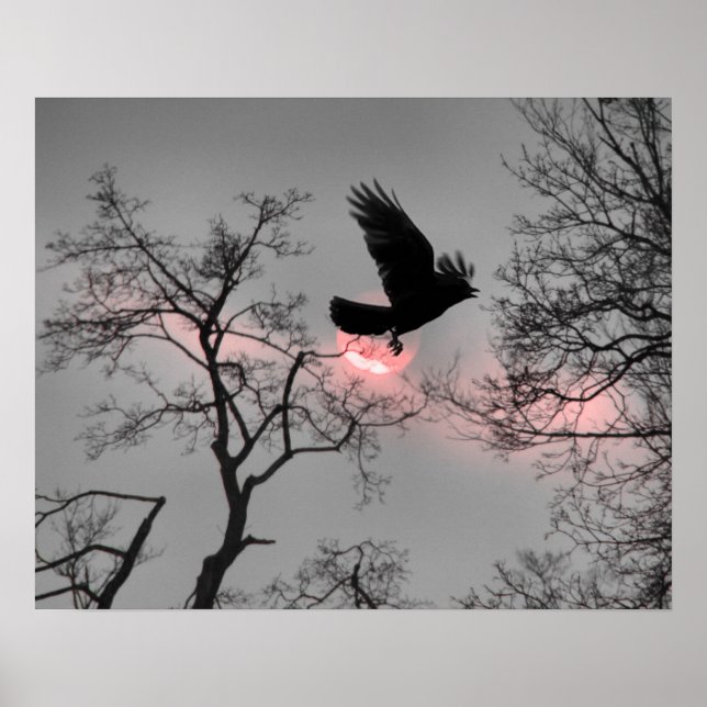 Rosa Himlar Rand Poster (Framsidan)