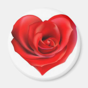 Rosa hjärta av kärlek magnet