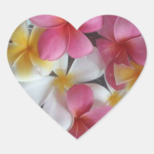 Rosa, hjärtformade Plumeria-klistermärken Hjärtformat Klistermärke