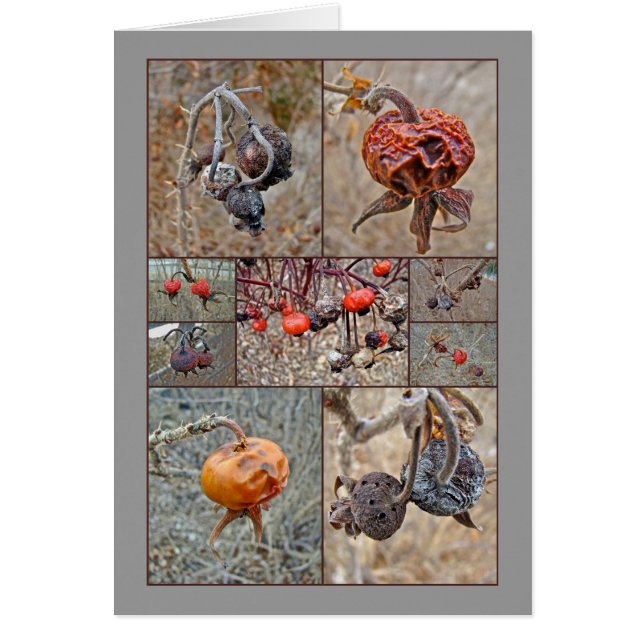 Rosa höftCollage Hälsningskort (Framsidan)