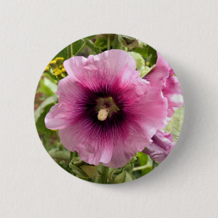 ROSA HOLLYHOCK FLOWER KNAPP