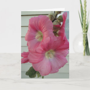Rosa Hollyhock, härlig dam för födelsedag Kort