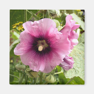 ROSA HOLLYHOCK MAGNET