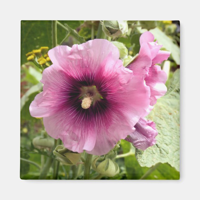 ROSA HOLLYHOCK MAGNET (Framsidan)