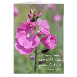 Rosa Hollyhock Pmarie Hälsningskort