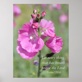 Rosa Hollyhock Pmarie Poster