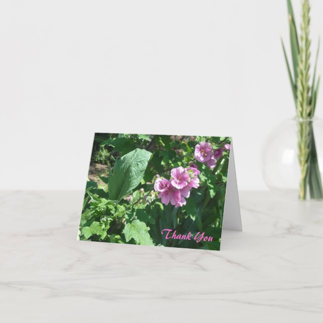 Rosa Hollyhockstack Tack Kort (Framsida)