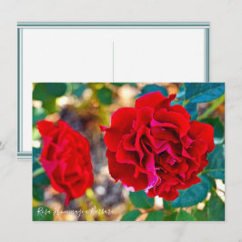 Rosa Hommage a Barbara: Flat Card